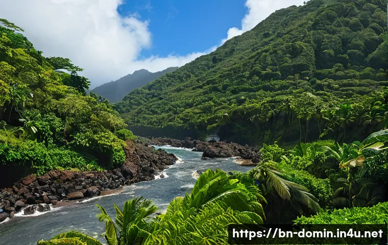 ডমিনিকাতে ড্রাইভিং এর গুপ্ত রহস্য: নিরাপদে থাকার ৭টি অব্যর্থ উপায় 3 도미니카 연방에서 운전할 때 주의사항 관련 이미지 1