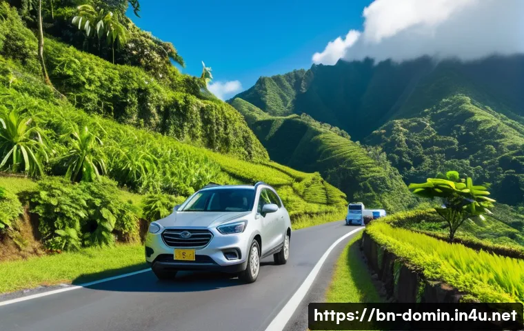 ডমিনিকাতে ড্রাইভিং এর গুপ্ত রহস্য: নিরাপদে থাকার ৭টি অব্যর্থ উপায় 4 도미니카 연방에서 운전할 때 주의사항 관련 이미지 2