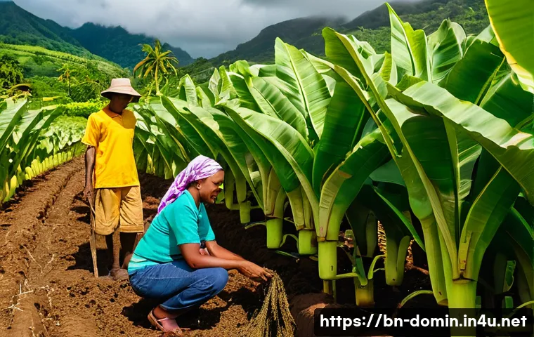 ডোমিনিকার শ্রম বাজার: সফলতার গোপন চাবিকাঠি 4 도미니카 연방의 노동 시장 관련 이미지 2